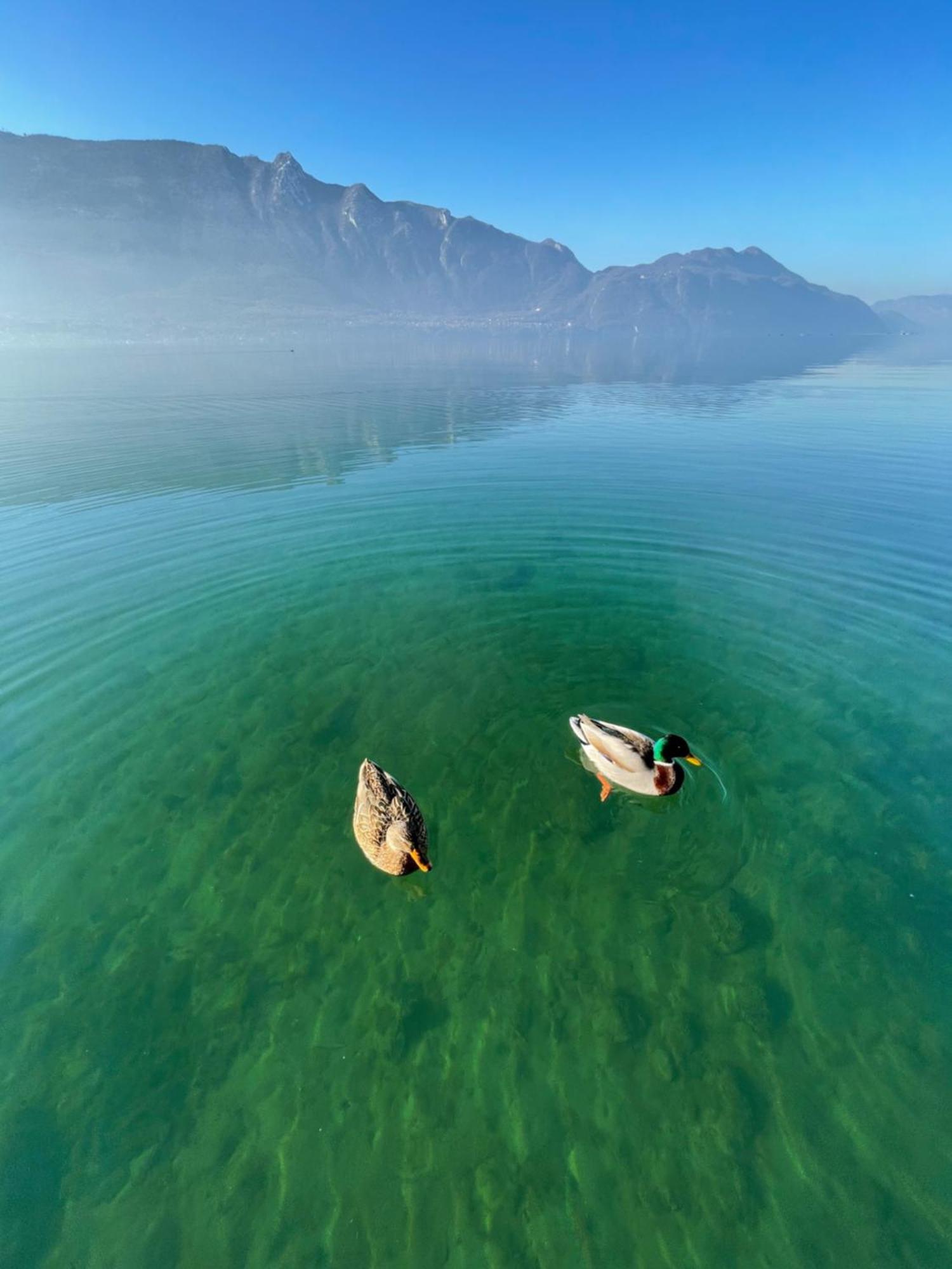 “L'Escapade”, Entre Lac Et Montagne Saint-Alban  エクステリア 写真